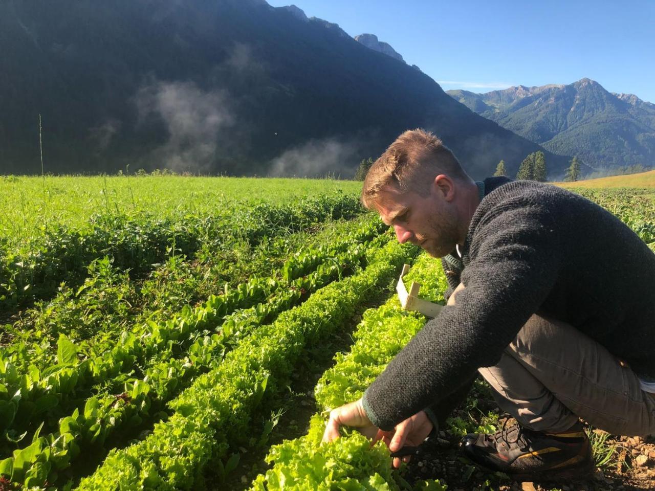 Agriturismo Soreie - Farmstay Vigo di Fassa Εξωτερικό φωτογραφία
