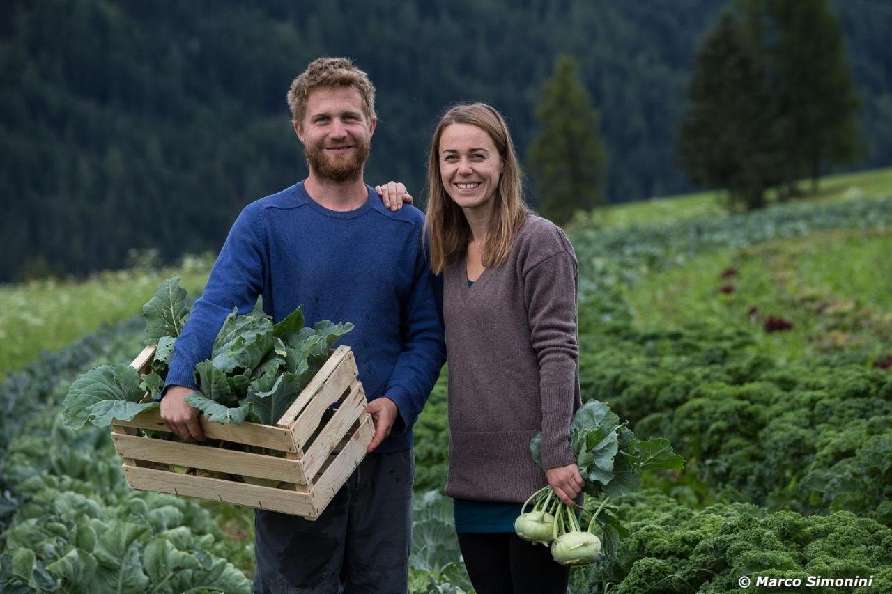 Agriturismo Soreie - Farmstay Vigo di Fassa Εξωτερικό φωτογραφία